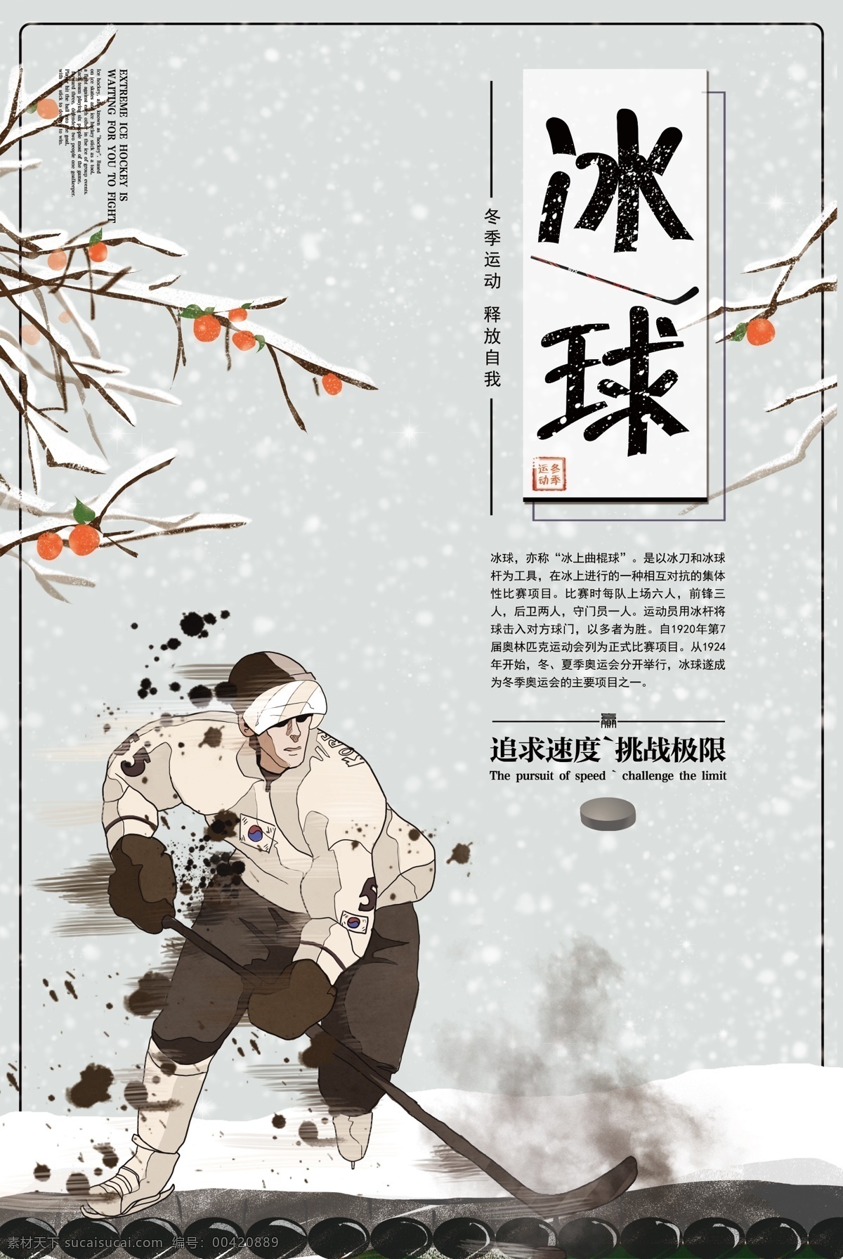 中国 风 冰球 运动 宣传海报 创意海报 游戏 活动海报 中国风 滑雪场海报 海报版式设计 冰雪世界 比赛海报 体育竞技 滑雪 职业冰球 冬奥会 滑冰 冰球海报 背景 下雪 冰球运动 球运动