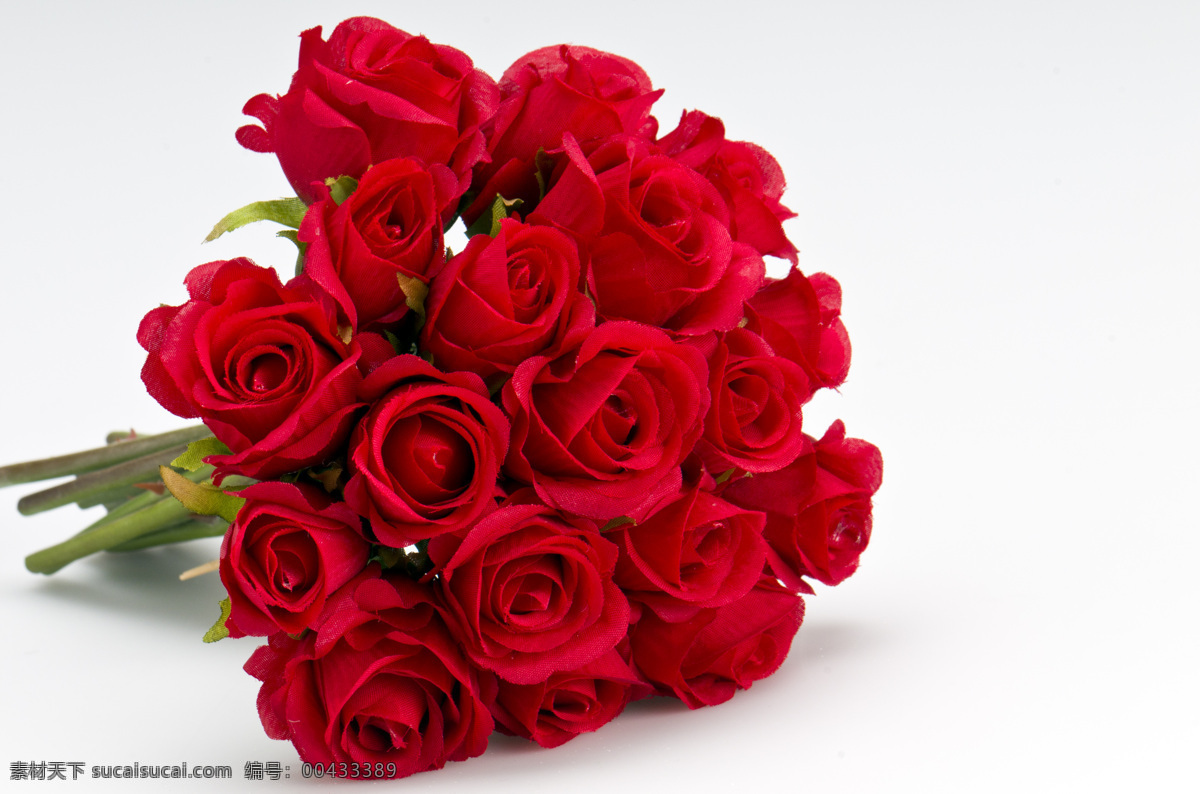 红色 玫瑰 花束 高清 拍摄 素材图片 红玫瑰 玫瑰花 装饰 植物 花卉 月季花 束鲜花 鲜花 520 情人节 红色玫瑰 生物世界 花草