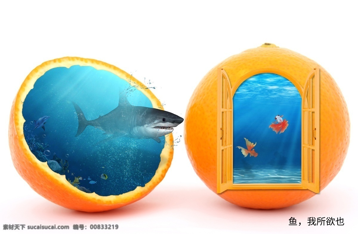 海底 世界 创意 合成 橙子 鲨鱼 金鱼 珊瑚 光线 鱼君 创意合成 分层