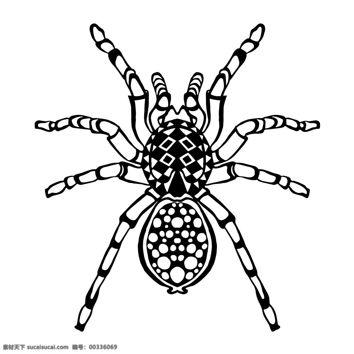 黑白 艺术 蜘蛛 图案 昆虫 动物 手绘