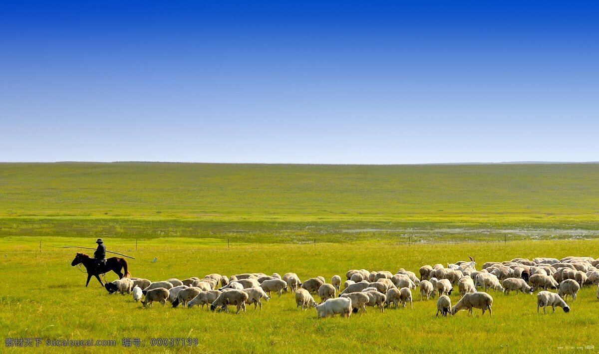牧羊图片 草原 蓝天 羊群 牧羊 风光 自然景观 风景 旅游摄影 国内旅游