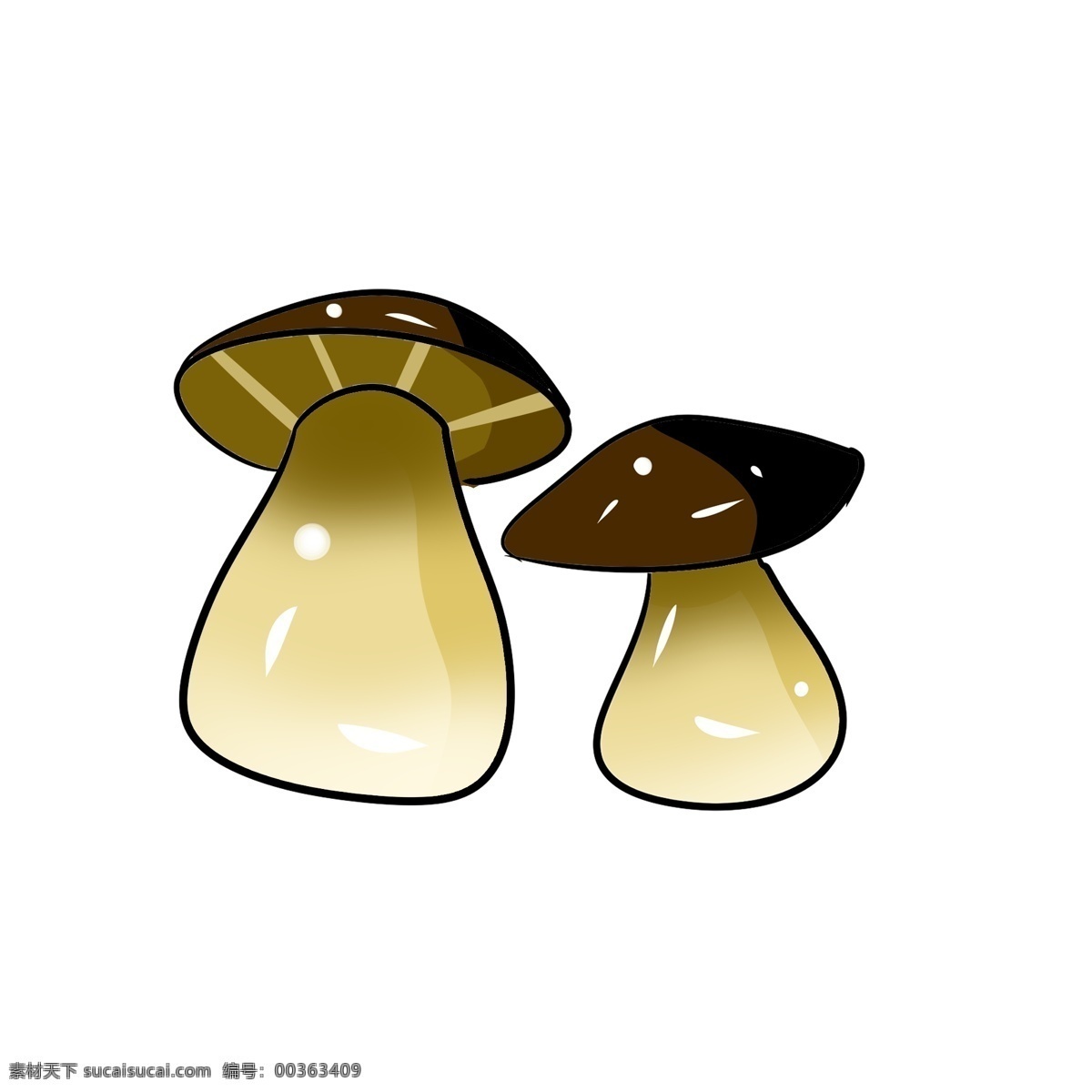 白色 大肚子 蘑菇 插图 棕色图案 蔬菜蘑菇 营养的蘑菇 煲汤蘑菇 养生蘑菇 两个蘑菇
