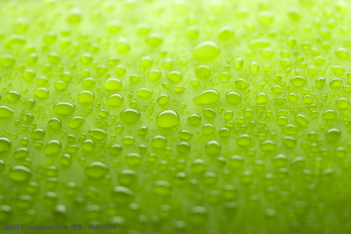 綠色水珠 背景 高清攝影圖片 綠色水滴 水珠特寫 壁紙 綠葉 自然風(fēng)景 自然景觀