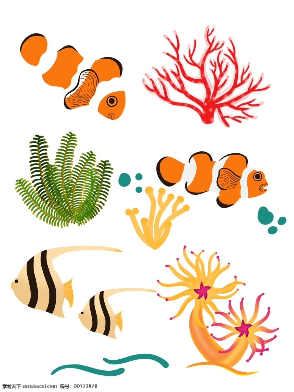 手绘 海洋 动物 小丑 鱼 海葵 珊瑚 海草 热带鱼 小丑鱼 夏日元素