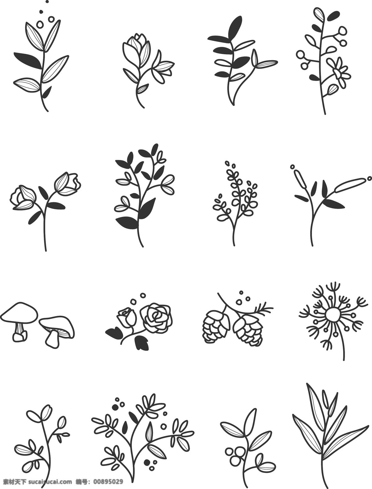 植物 花卉 线 稿 图 植物线稿图 花卉线稿图 插画植物 分层