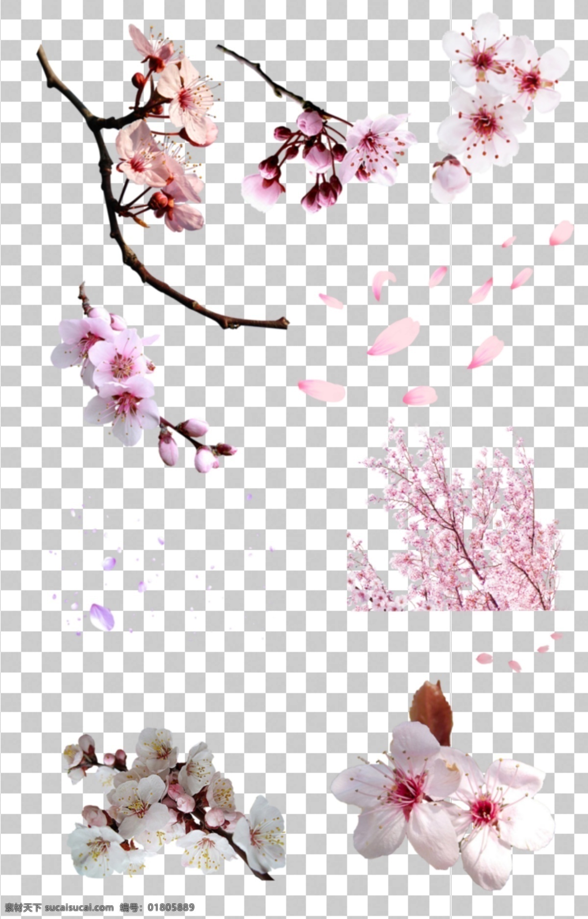 透明 底 梅花 透明底梅花 梅花圖案 桃花 梅花背景 中國(guó)風(fēng) 中國(guó)風(fēng)素材 梅 寒梅 山水畫 水墨畫 水墨畫素材 山水畫素材 臘梅 臘梅背景 花 花素材 中國(guó)花 梅花剪影 梅花剪紙 梅蘭竹菊 梅蘭竹菊素材 梅花字畫 水墨素材 燈籠 花瓣 透明底 免摳圖 分層圖 分層 風(fēng)景