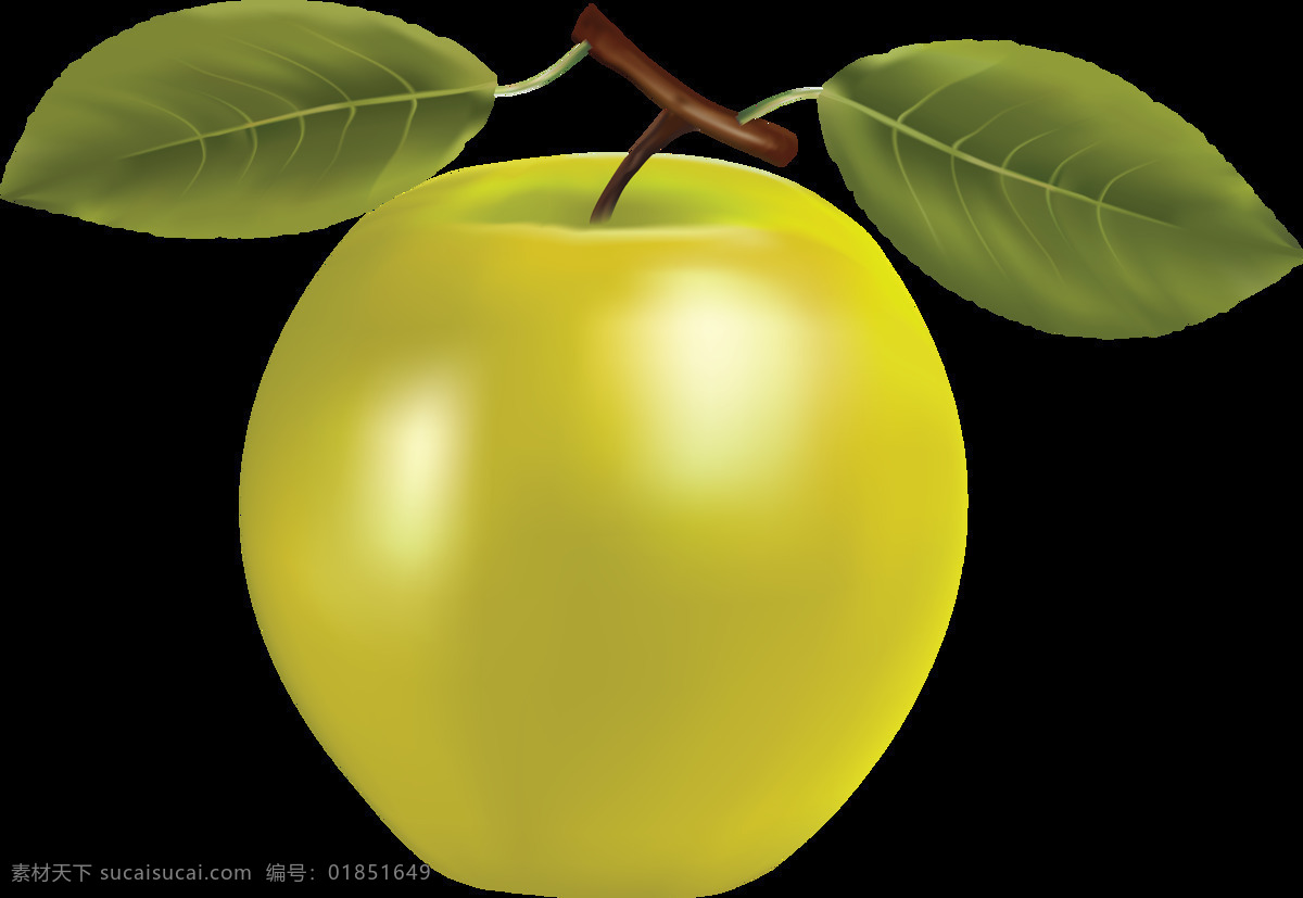 漂亮 绿色 新鲜 苹果 免 抠 透明 苹果图片 苹果照片 青苹果 logo 苹果简笔画 壁纸高清 大苹果 红苹果 苹果梨树 苹果商标 金毛苹果 青苹果榨汁