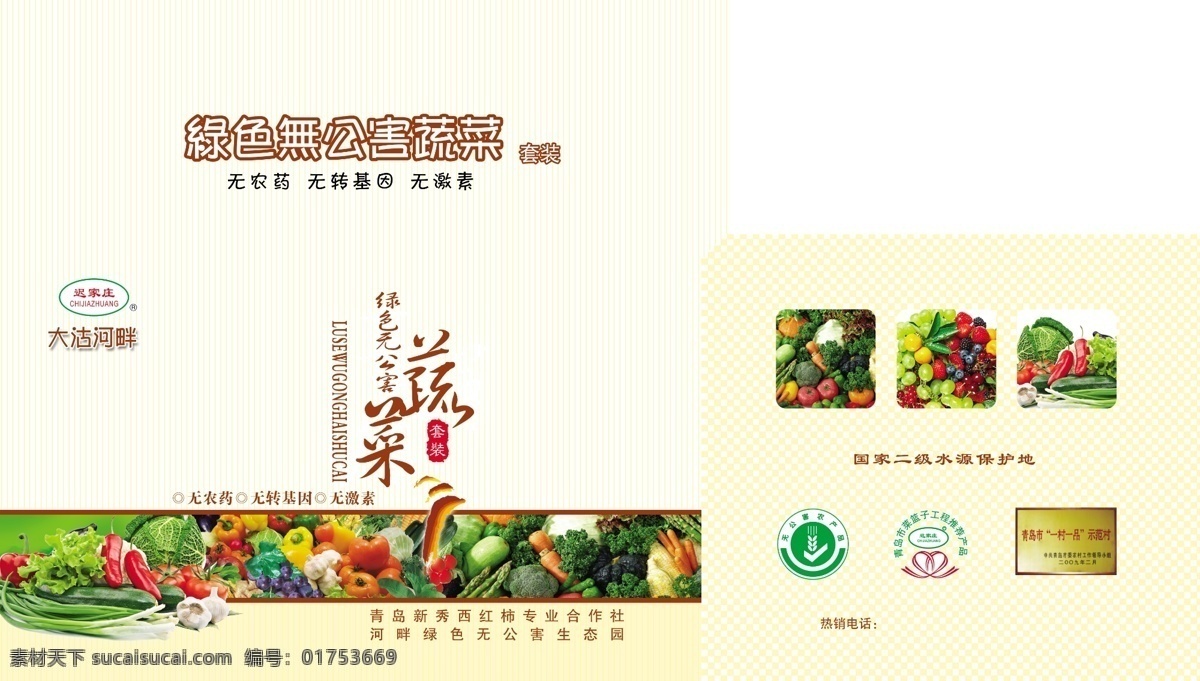 包裝設(shè)計 包裝箱 廣告設(shè)計模板 蔬菜 蔬菜包裝 源文件 蔬菜箱 無公害蔬菜箱 水果箱 蔬菜水果箱 綠色 無公害 箱 風(fēng)景 生活 旅游餐飲