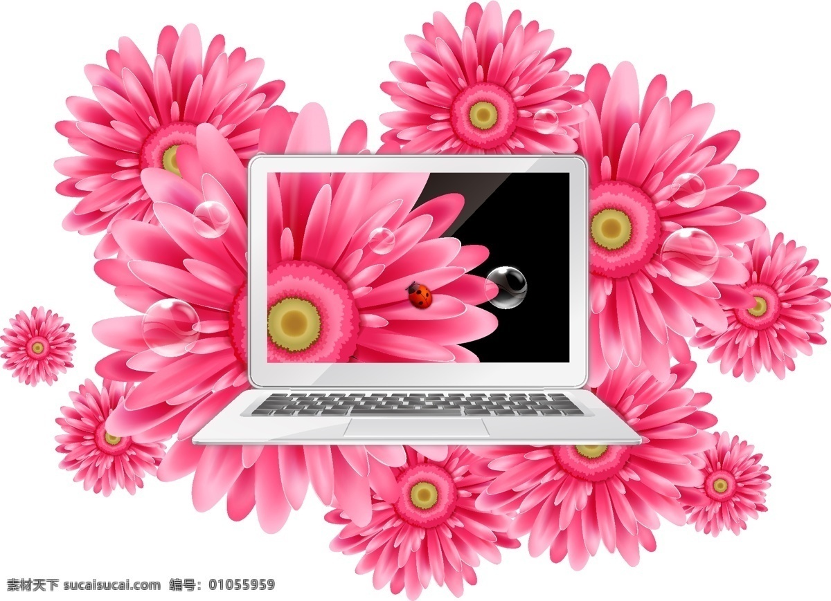 精美 雏 菊 笔记本 电脑 设计素材 精美矢量雏菊 矢量图