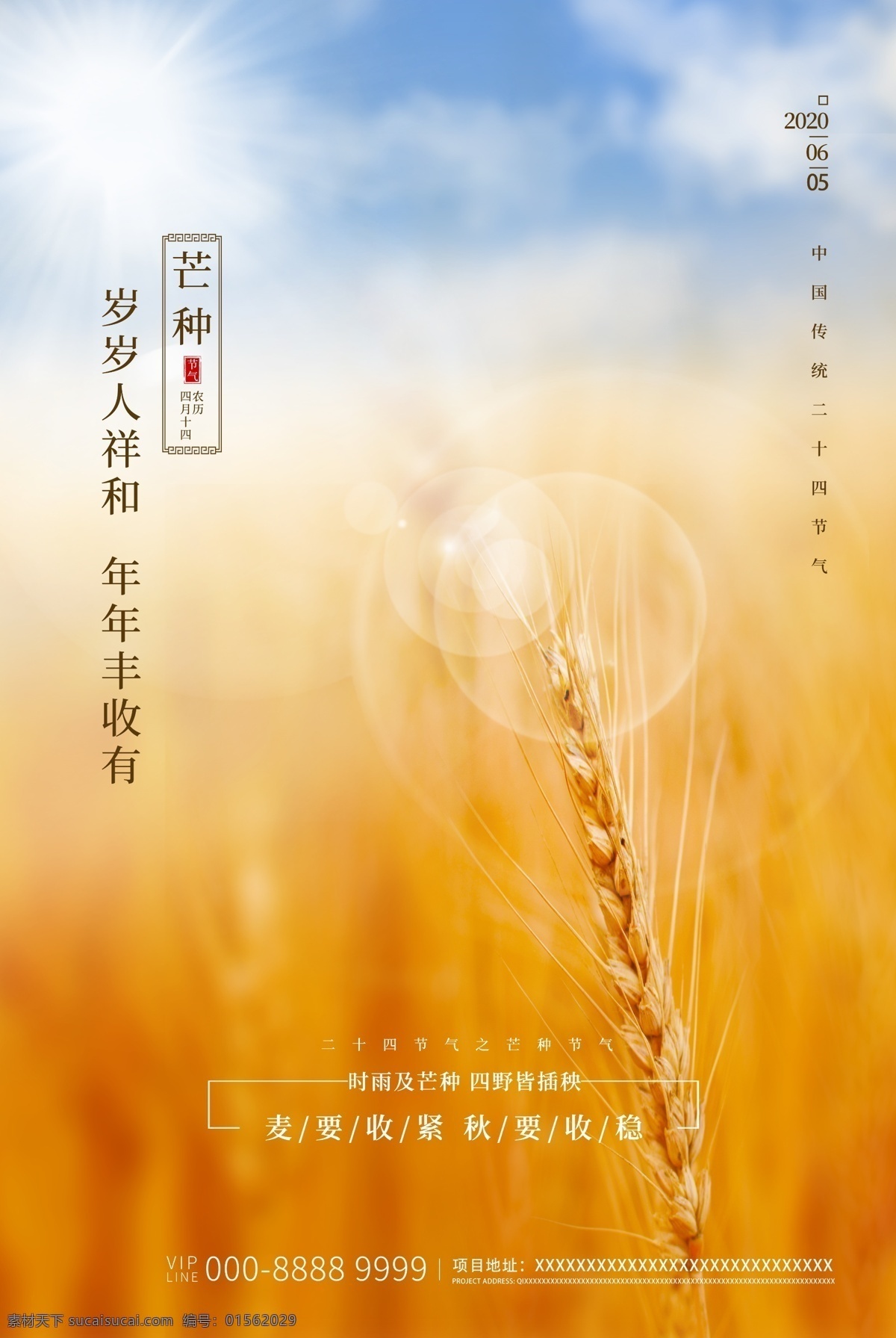 芒種 圖 黃色 簡(jiǎn)約 海報(bào) 24節(jié)氣芒種 芒種海報(bào) 芒種節(jié)氣 節(jié)氣海報(bào) 二十四節(jié)氣