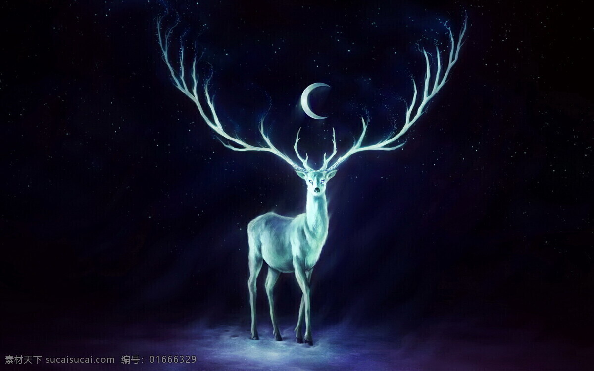 夜鹿 夜晚 鹿 月亮 黑色 北京 動漫動畫 風(fēng)景漫畫