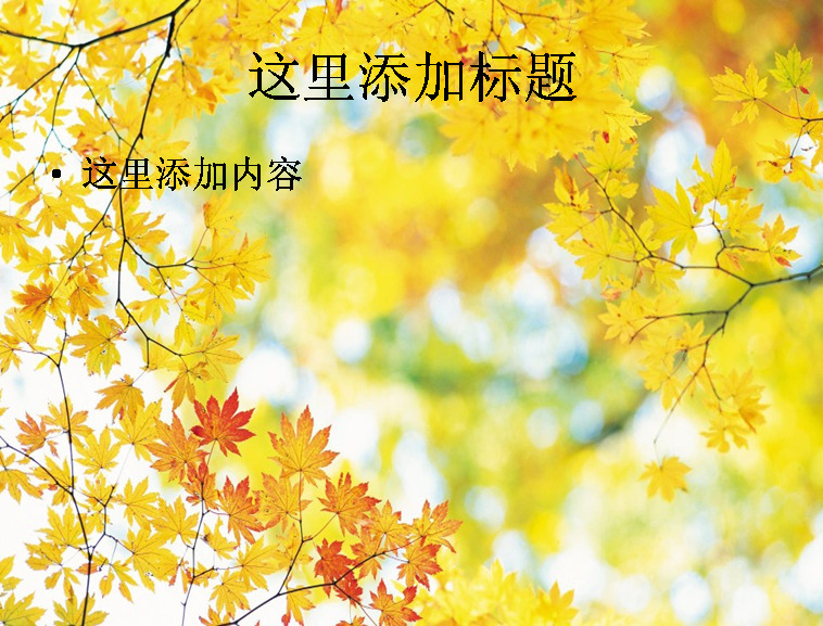 大 尺寸 自然风景 秋叶 风景 风光 景色 模板
