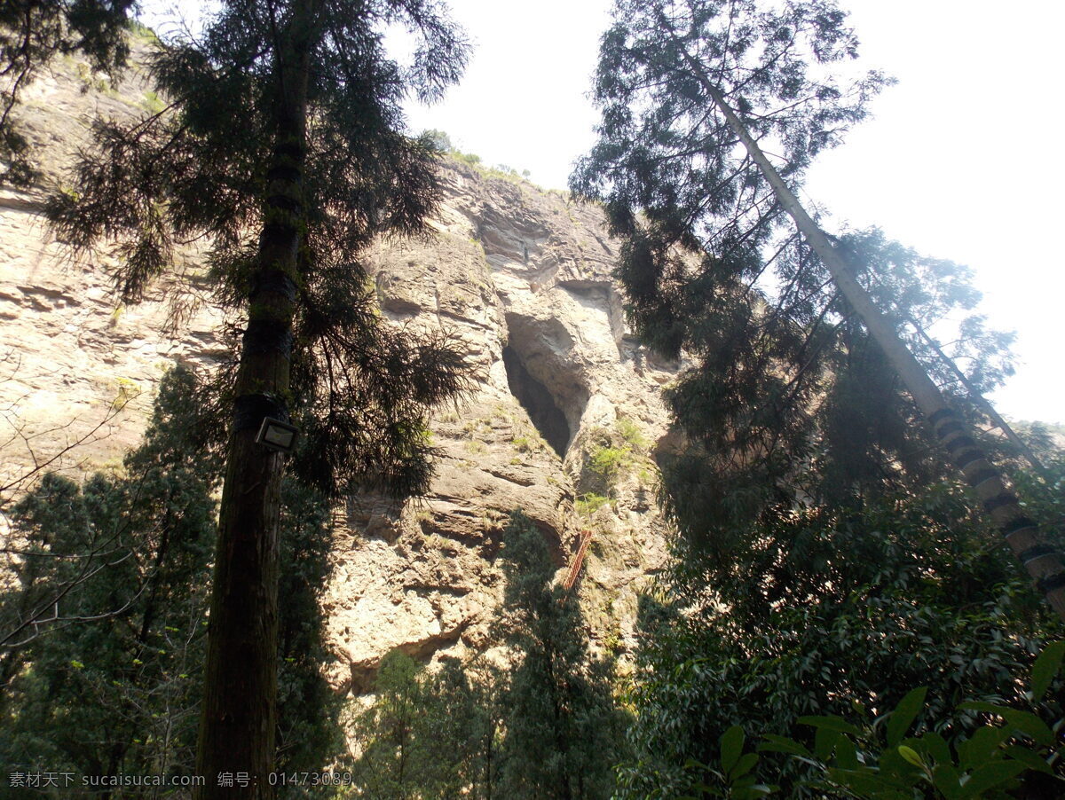 山峰 樹葉 巖石 峭壁 喬木 雁蕩山 山水風景 自然景觀