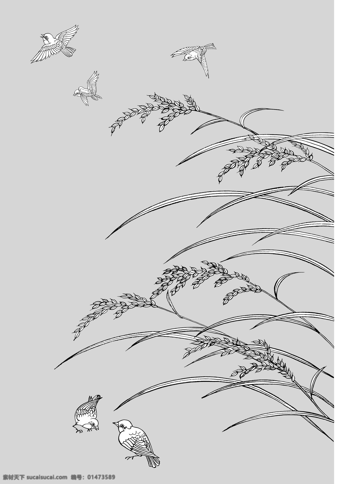 小鳥 小麥 矢量花 花 花兒 矢量花朵 花素材 花朵素材 花朵 多彩花 花瓣 花瓣背景 花瓣底圖 葉子 多彩花朵 漂亮花朵 美麗花朵 大花 圖案花 鮮艷的花 素描花 鮮花 矢量花5 生物世界 花草
