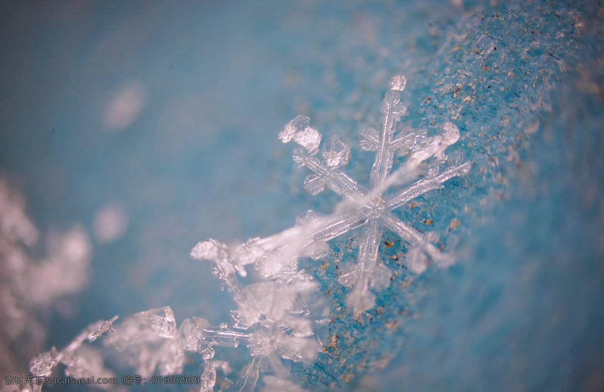 微 距 雪花 微距 北京 冬天 寒冷 冰晶 雪 六邊形 結(jié)晶 晶體 微觀 世界