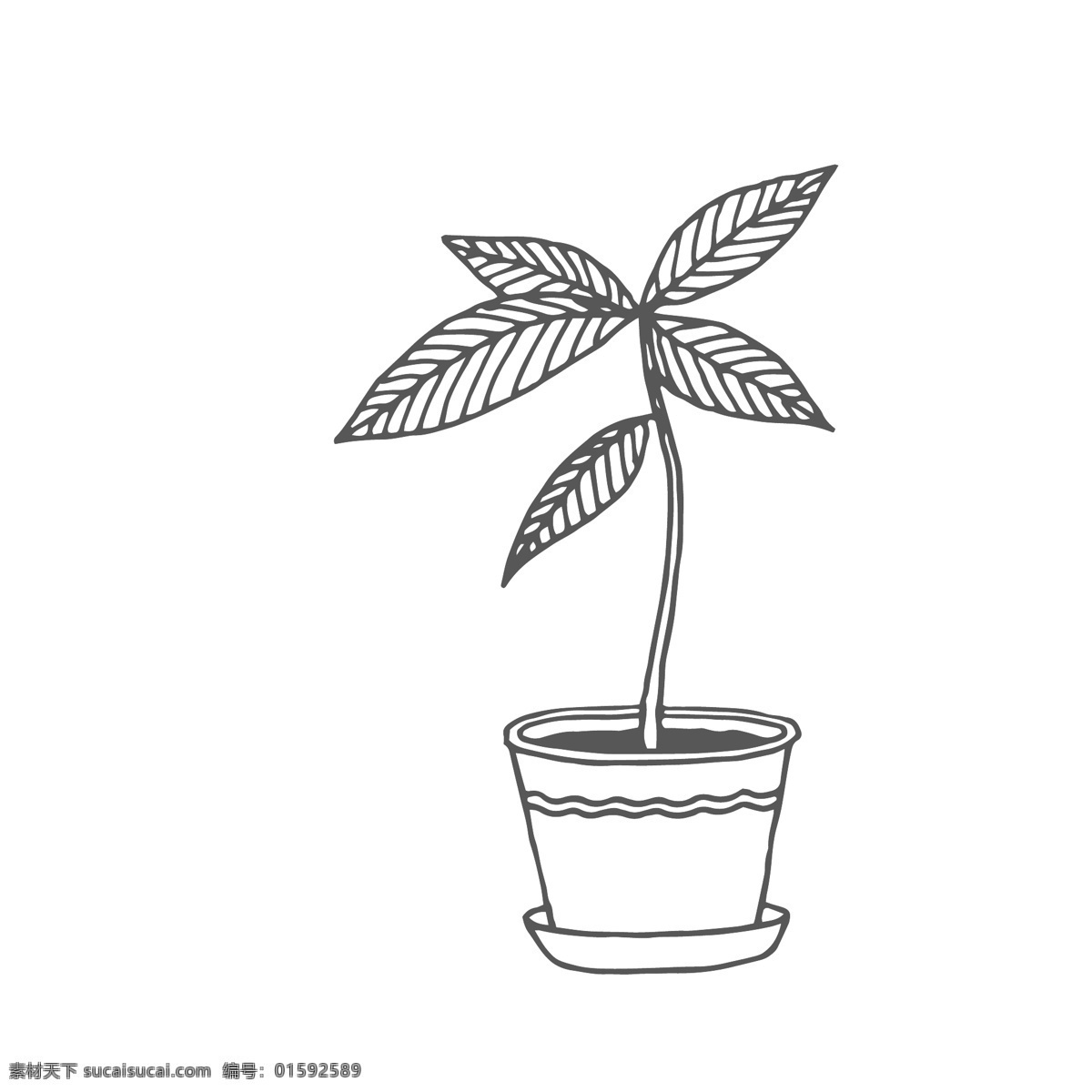 黑白線條手繪 盆栽 花盆 粗細(xì)線條 線案條圖 手繪線條 線條藝術(shù) 線稿 線描 白描填色 畫稿 涂鴉 填涂 上色 輪廓畫 時(shí)尚插畫 線描畫 線條圖 素描 工筆畫 秘密花園 黑白花紋 生活用品 簡(jiǎn)筆畫 鉛筆畫 手繪畫 兒童節(jié) 繪畫美術(shù) 兒童繪畫 幼兒園 貼紙 童話世界 兒童繪本 幾何線條 抽象圖形 抽象花紋 平面抽象