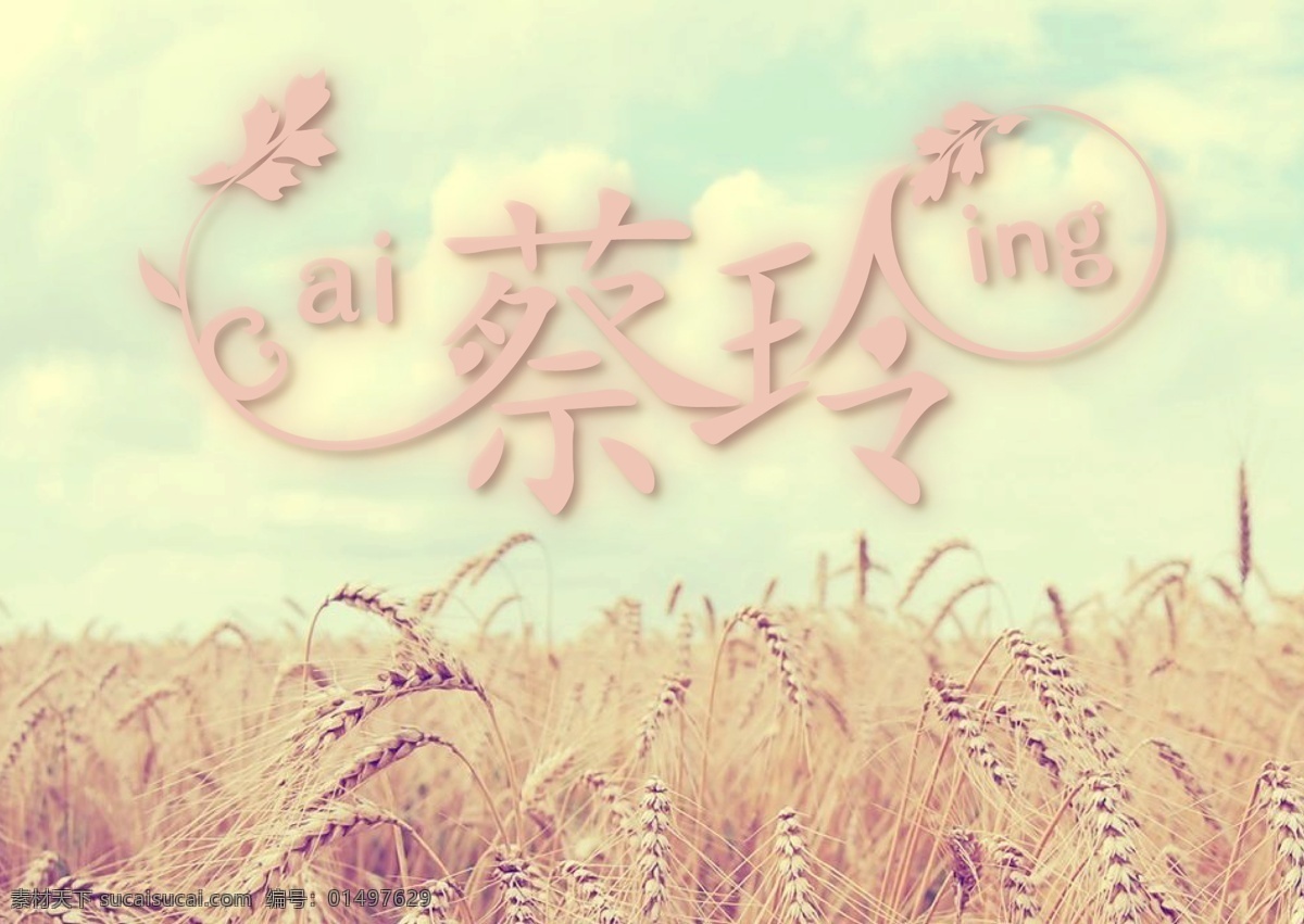 蔡玲 藝術(shù)字 美化 質(zhì)感 白色