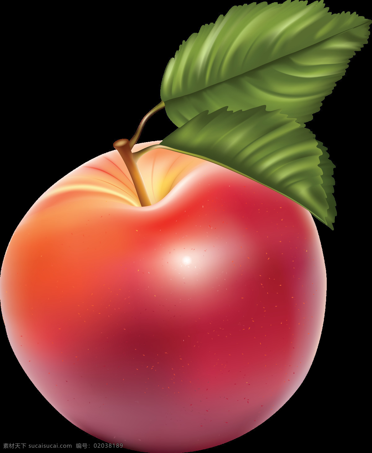 漂亮 真实 苹果 免 抠 透明 图 层 青苹果 苹果卡通图片 苹果logo 苹果简笔画 壁纸高清 大苹果 红苹果 苹果梨树 苹果商标 金毛苹果 青苹果榨汁