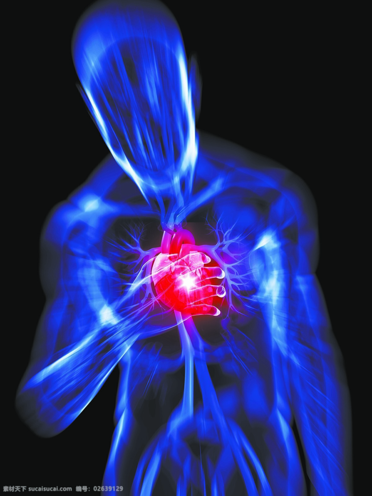 人体 透视图 人体机构 经脉 骨骼 心脏 医疗护理 现代科技