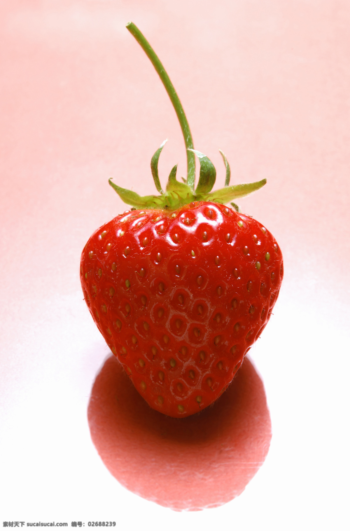 清晰 草莓免费下载 草莓 单色背景 高清 红色 水果 诱人 风景 生活 旅游餐饮