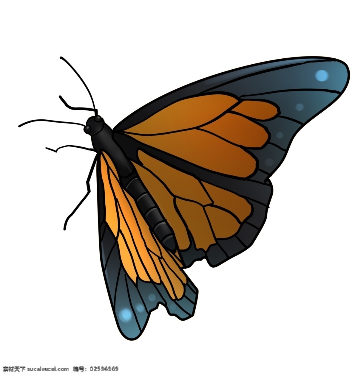 美丽 蝴蝶 卡通 插画 美丽的蝴蝶 卡通插画 动物插画 蝴蝶插画 动物蝴蝶 昆虫 益虫 飞行的蝴蝶