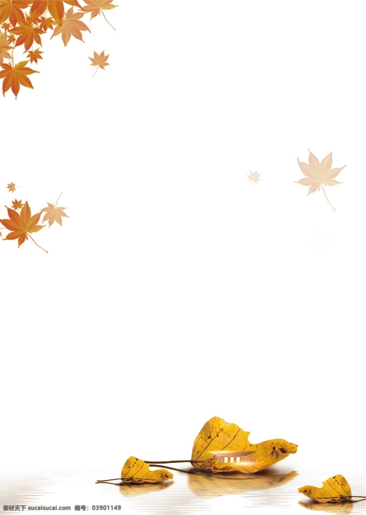 秋天落叶图片 秋天 立秋 落叶 水面 秋季 背景 分层 背景素材