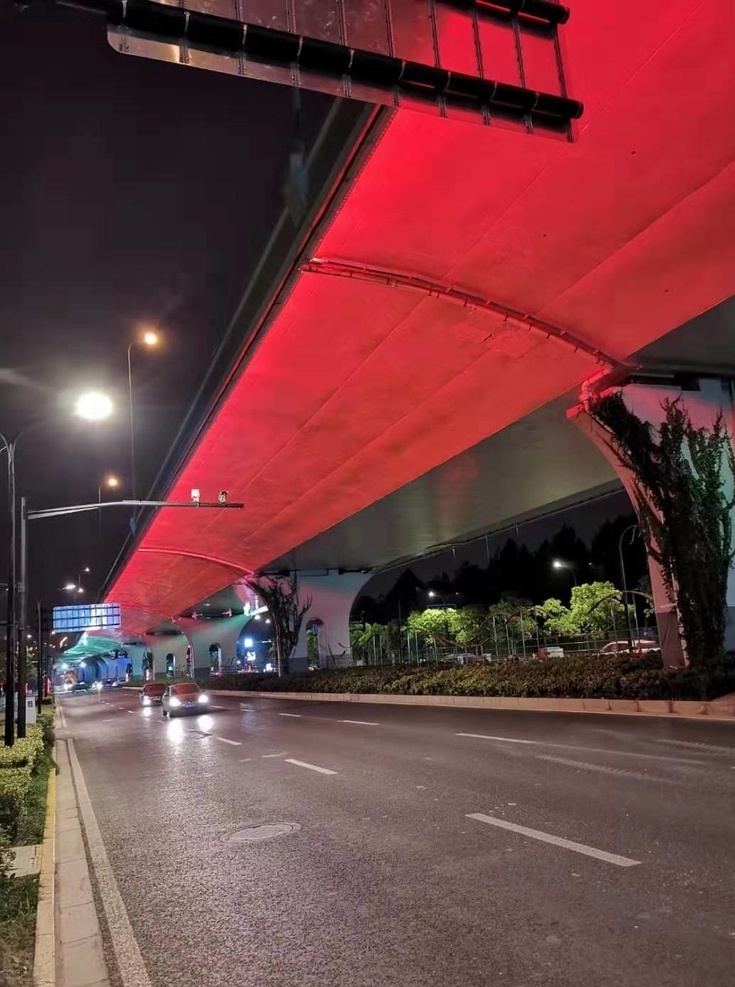 进博会 夜景 亮化 led 灯光 抱树灯 建筑园林 园林建筑