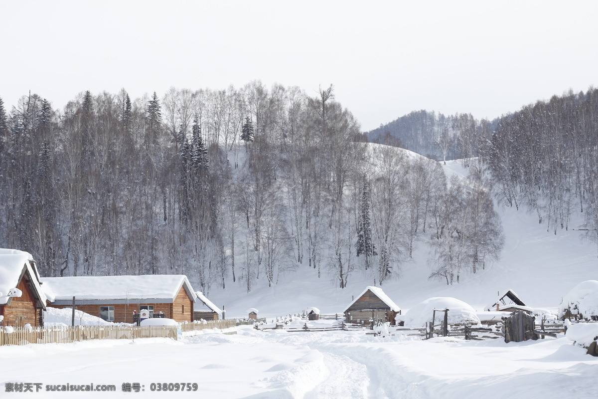 冬天雪景 冬天 雪景 下雪 雪天 冰天雪地 白雪 雪 旅游摄影 国内旅游