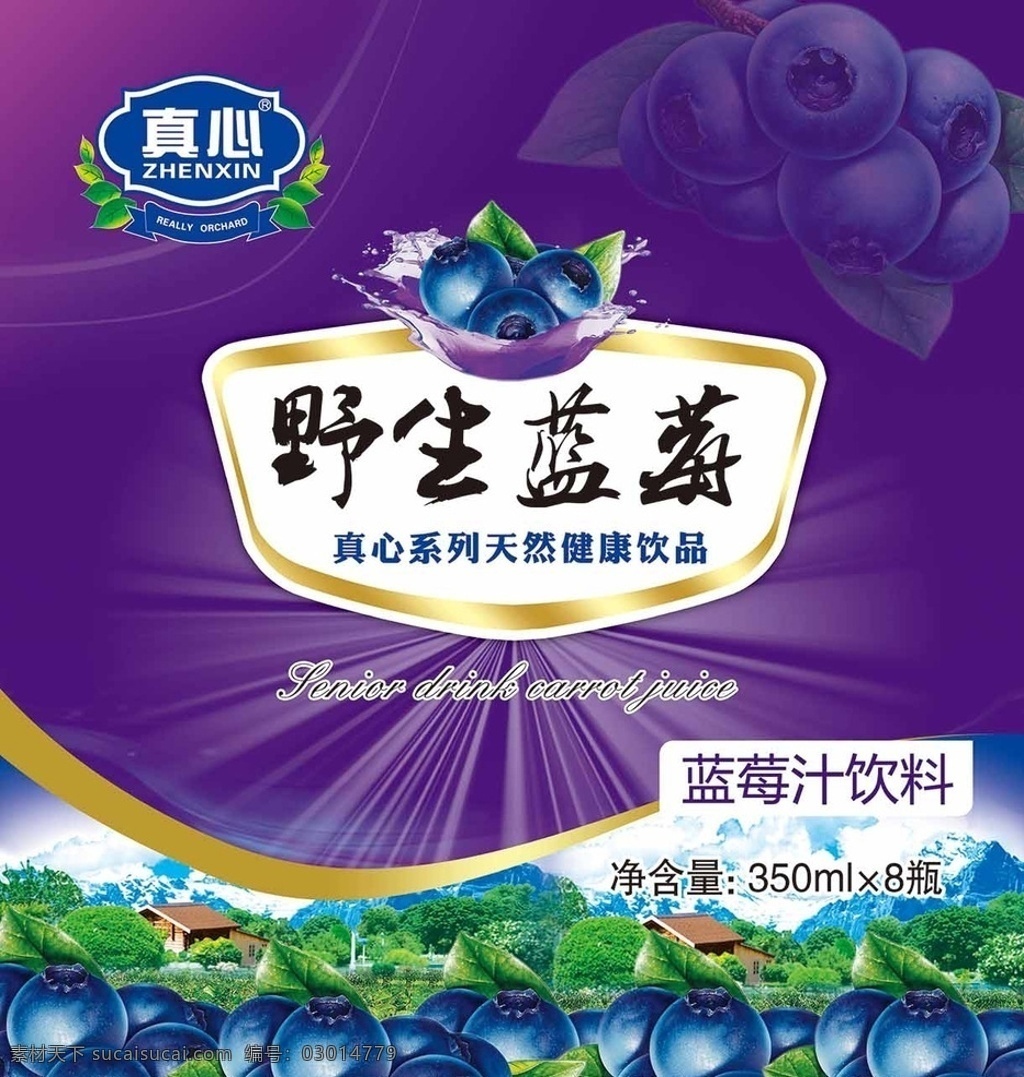 藍莓包裝箱 藍莓 外箱 水果 手繪 莊園 飲料 飲料包裝 健康飲品 天山 真心 果園 陽光 野生 包裝設計