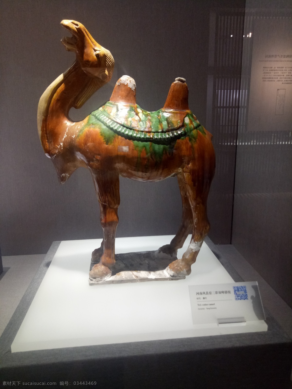 文物 唐三彩 骆驼 传统 历史 陶俑 博物馆 文化艺术 传统文化