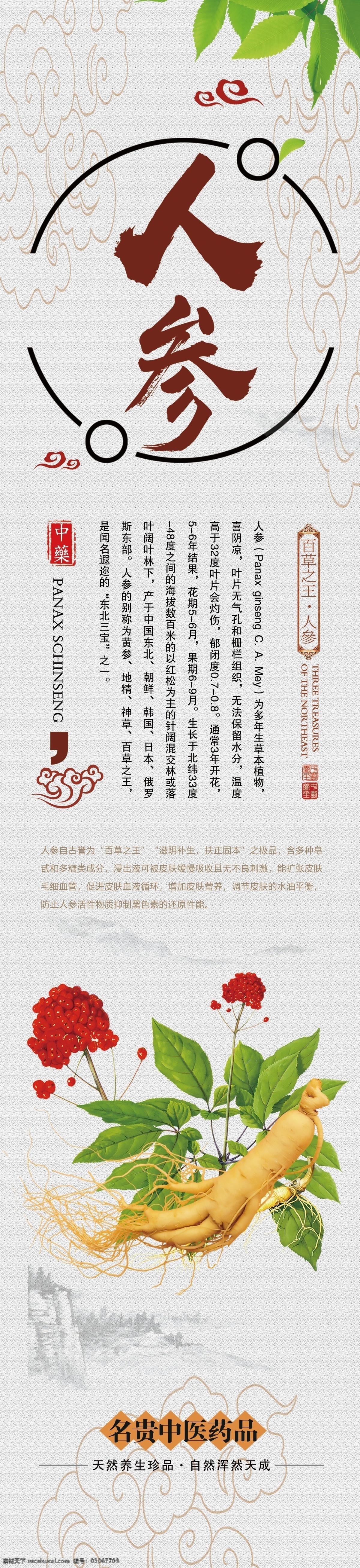 人參 卡布 燈箱 畫面 綠葉 淺色背景 花邊 祥云 分層