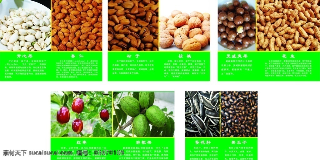 炒 貨店 產(chǎn)品 介紹 炒貨干貨食品 干貨產(chǎn)品介紹 炒貨 開心果功效 杏仁功效 松子功效 核桃功效 夏威夷果 花生功效 紅棗功效 碧根果功效 葵花籽功效 黑瓜子功效