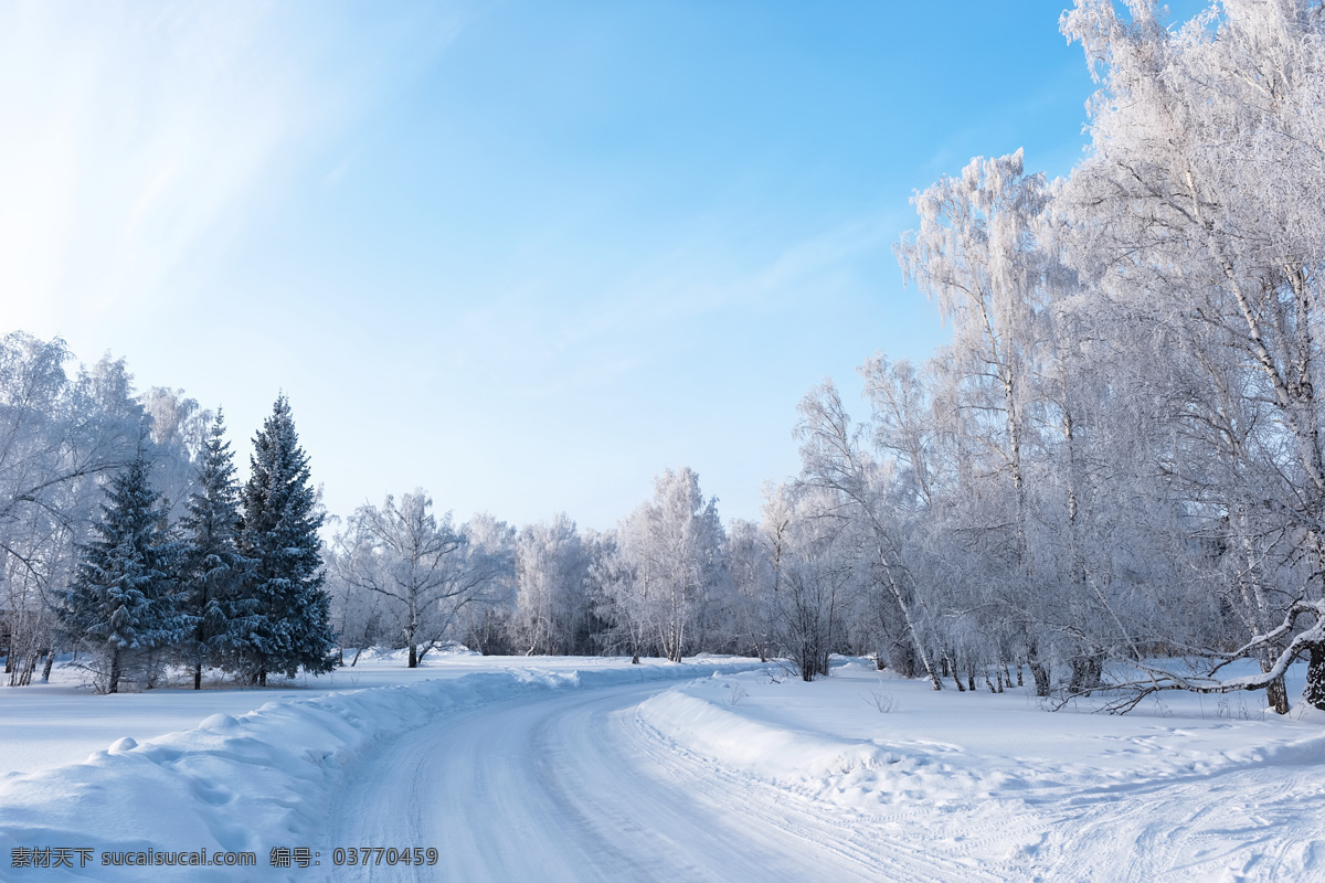 冬天 公路 美景 冬天风景 雪地 雪松 树林 山水风景 风景图片