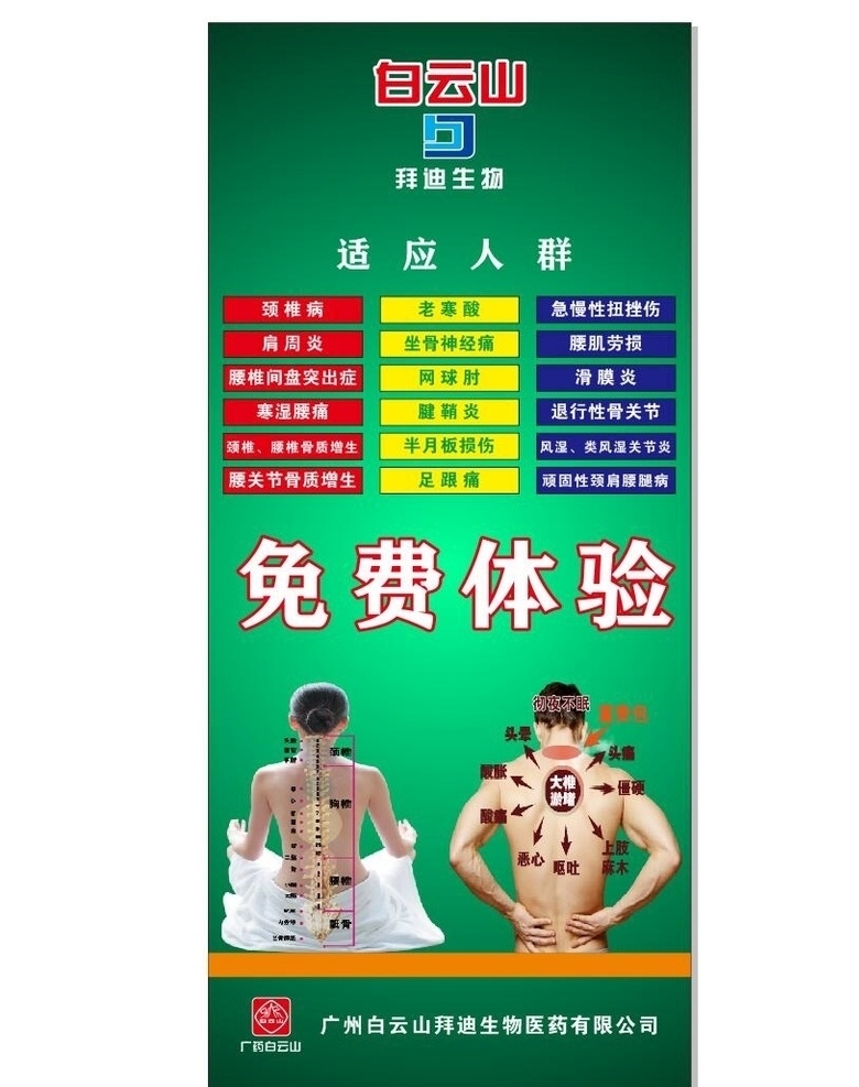 白云山展架 脊椎圖 白云山 展架 深綠 海報(bào)