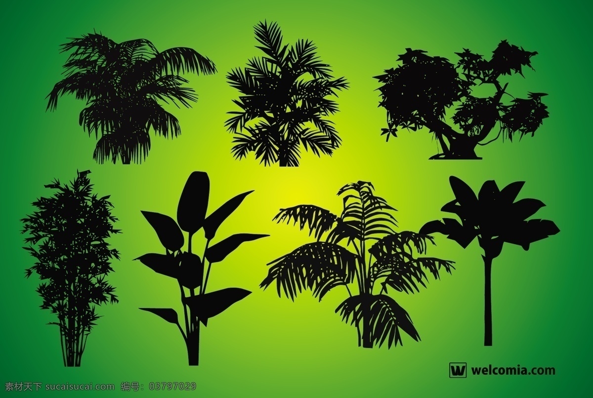 植物的剪影 綠色
