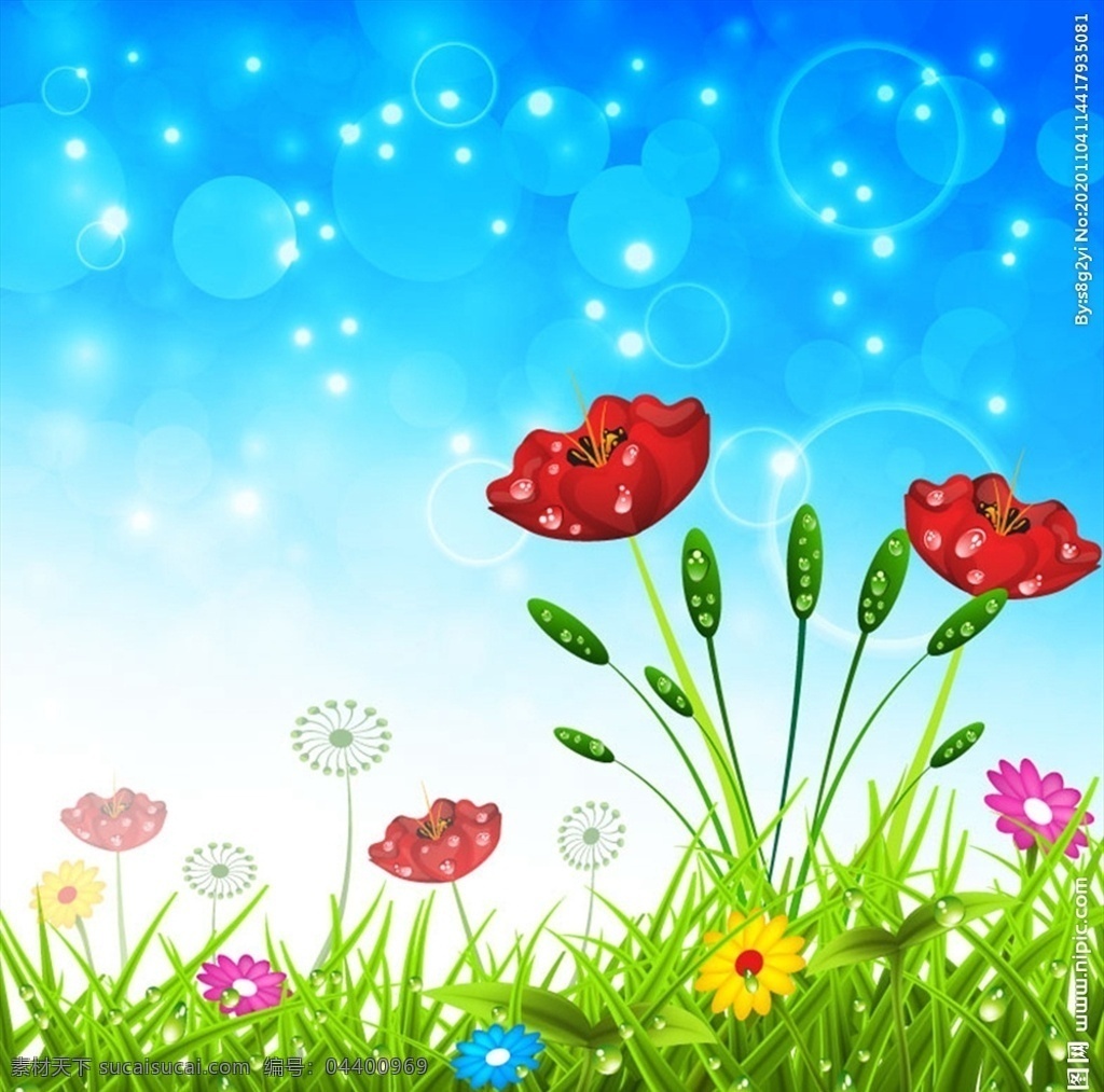 帶露 珠 花卉圖片 光暈 花卉 蒲公英 春季 草地 菊花 矢量 高清圖片