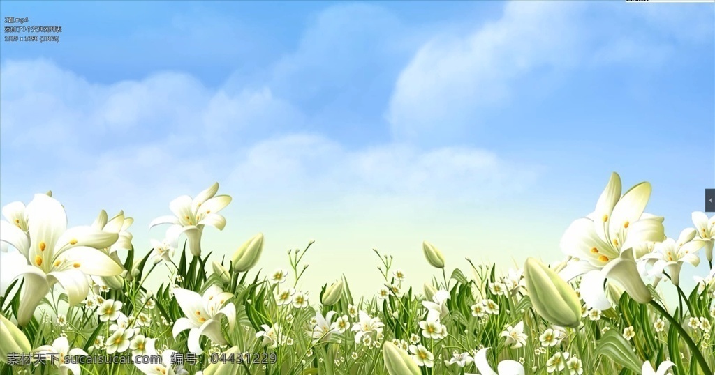 夏天萬(wàn)物生長(zhǎng) 夏天 萬(wàn)物生長(zhǎng) 動(dòng)態(tài)視頻 最新素材 婚慶視頻素材 多媒體 影視編輯 合成背景素材 mp4