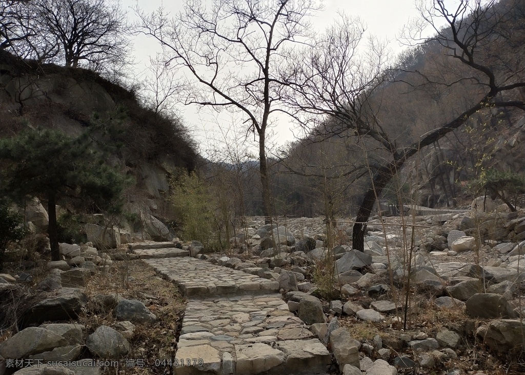山路 禿樹 石路 石階 石頭 旅行景物 旅游攝影 人文景觀