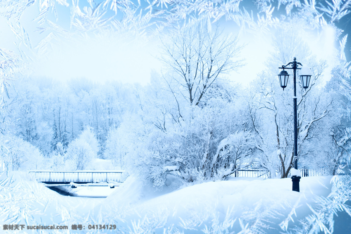 冬天 小桥 树林 美景 冬天风景 雪景 雪松 山水风景 风景图片