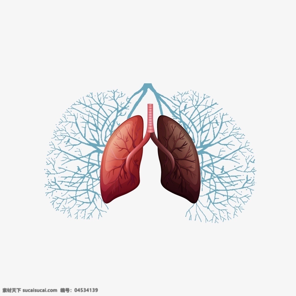 肺部插画图片 肺部插画 肺部 健康 插画 psd素材 源文件