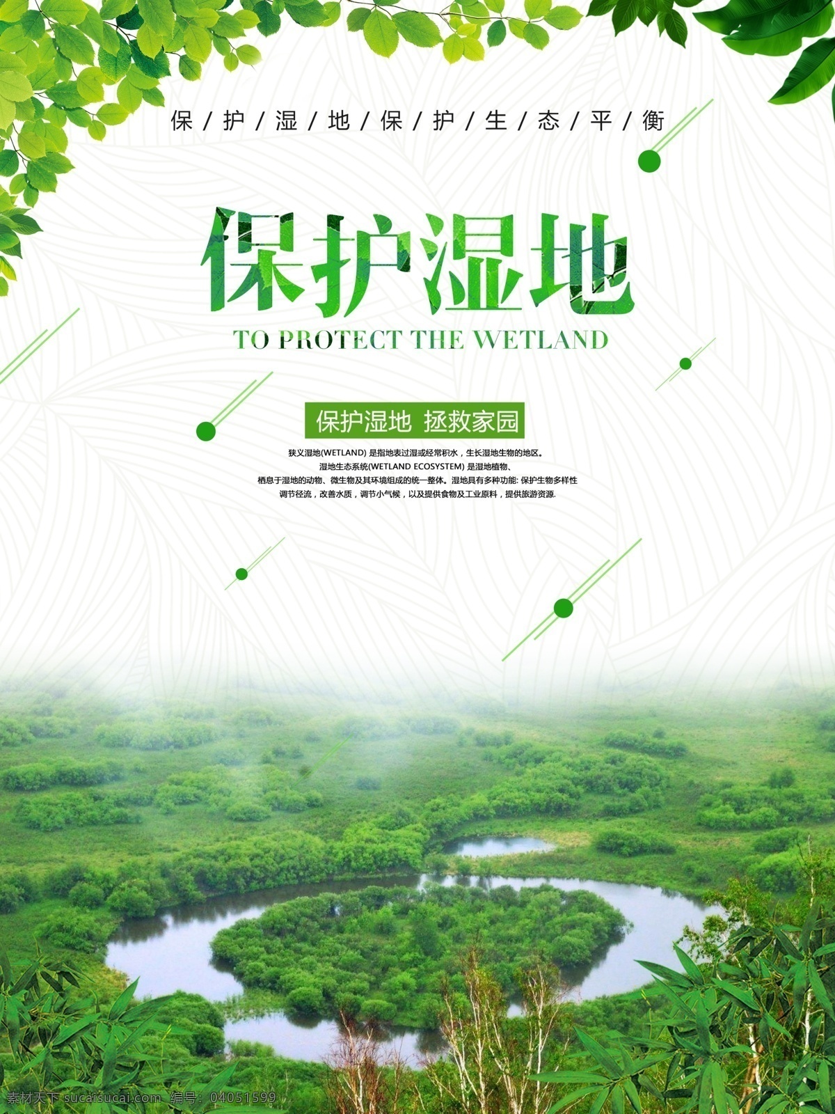世界 湿地 保护 日 海报 保护环境 地球环境 公益 国际环境日 环保 环境保护 简约 生态环境 湿地海报 世界环境日 世界湿地日 宣传 宣传海报