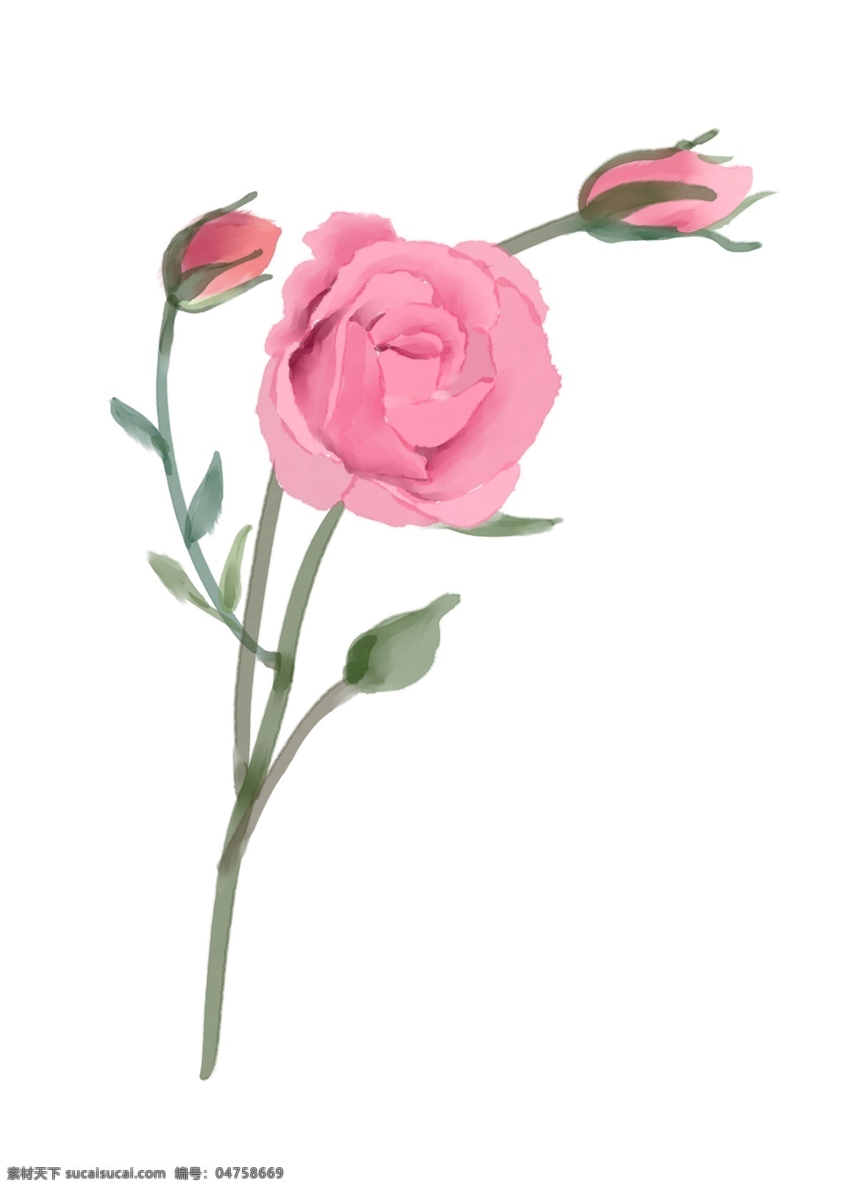 手绘 小 清新 水彩 风格 花卉 感恩 感谢 送花 花朵 小清新 玫瑰 花 植物 花草 春天 插画 水彩花卉