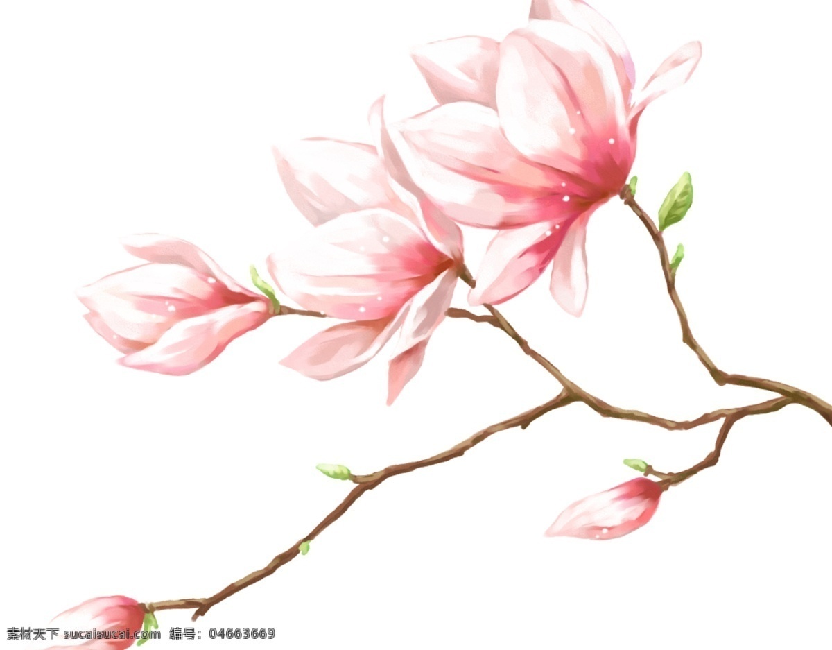 桃花素材 桃花元素 桃花背景 桃花底紋 桃花花瓣 桃花花朵 一朵桃花 桃花林 桃花林背景 桃花畫冊(cè) 桃花海報(bào) 桃花封面 桃花攝影 印花 花卉 花 一束花 花朵 花瓣 花素材 花背景 小花 花草 櫻花 賞桃花 賞花 十里桃花 花海 矢量桃花 桃花剪影 桃花工筆畫 桃花水彩 水彩畫 水彩花 桃子 花草樹木類
