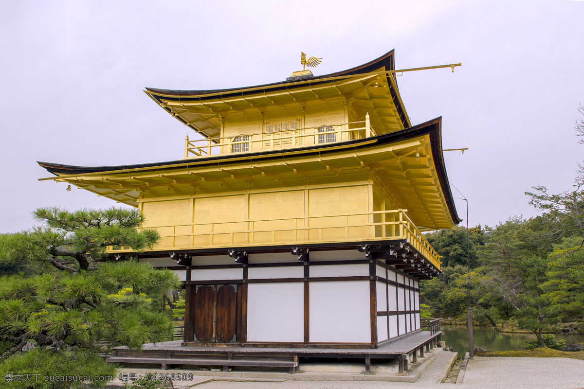 日本 京都 金阁 寺 风景