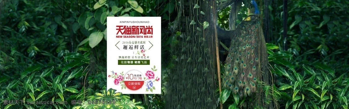 海報(bào) 大樹 天貓 女裝 banner 黑色