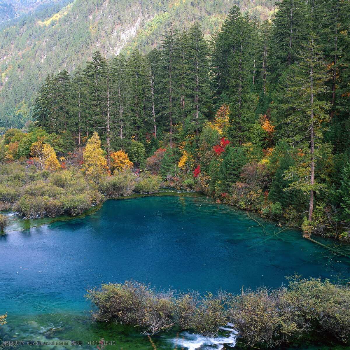 風(fēng)景 圖 風(fēng)景名勝 風(fēng)景圖 高清 綠葉 美景 山水風(fēng)景 滕蔓 自然風(fēng)光 自然風(fēng)景 自然景觀 巨幅風(fēng)景圖片 家居裝飾素材 山水風(fēng)景畫