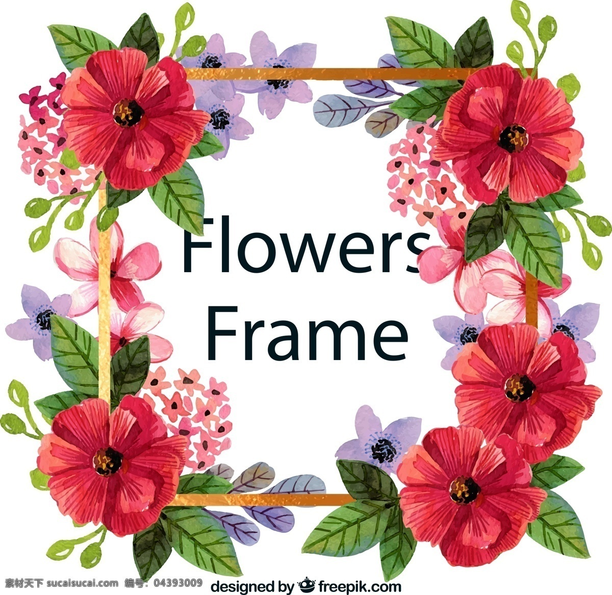美丽 彩绘 花卉 框架 绣球花 百日菊 矢量 高清图片