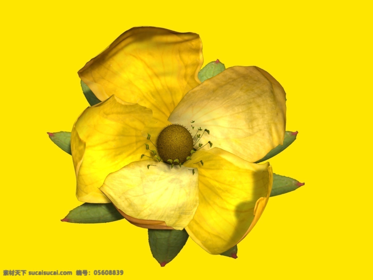 植物 花草 裝飾 室內(nèi)裝飾 用品 3d 模型 裝飾素材 室內(nèi)裝飾用品 花草3d模型 花草裝飾素材 家居裝飾素材 室內(nèi)裝飾用圖