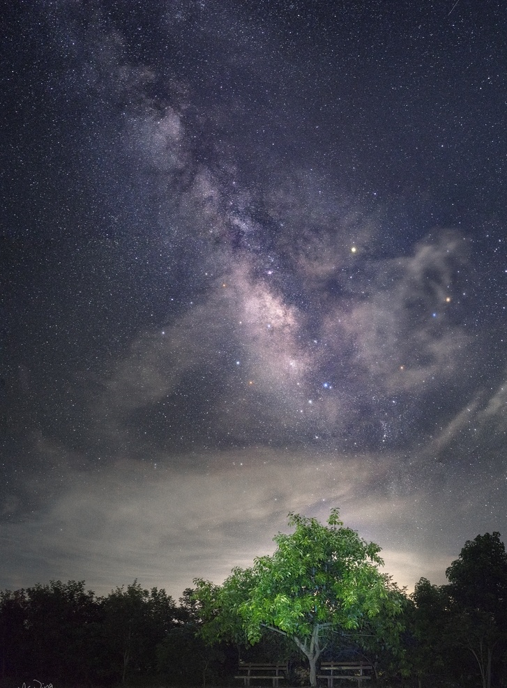 苍穹之下 银河 树 风光 夜晚 星空 户外 风景 壁纸 背景 云 星星 自然景观 自然风景
