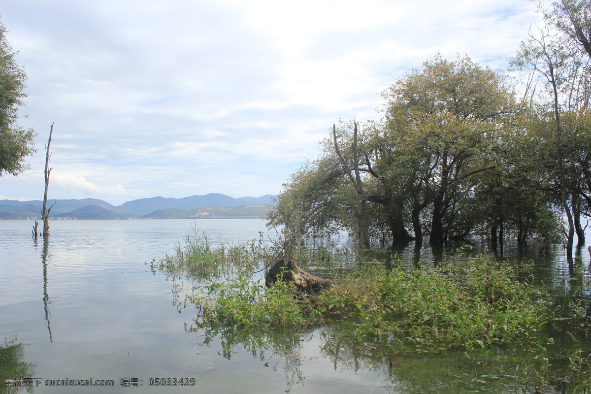 洱海风景 洱海 树 水 湖 风景 自然景观 山水风景